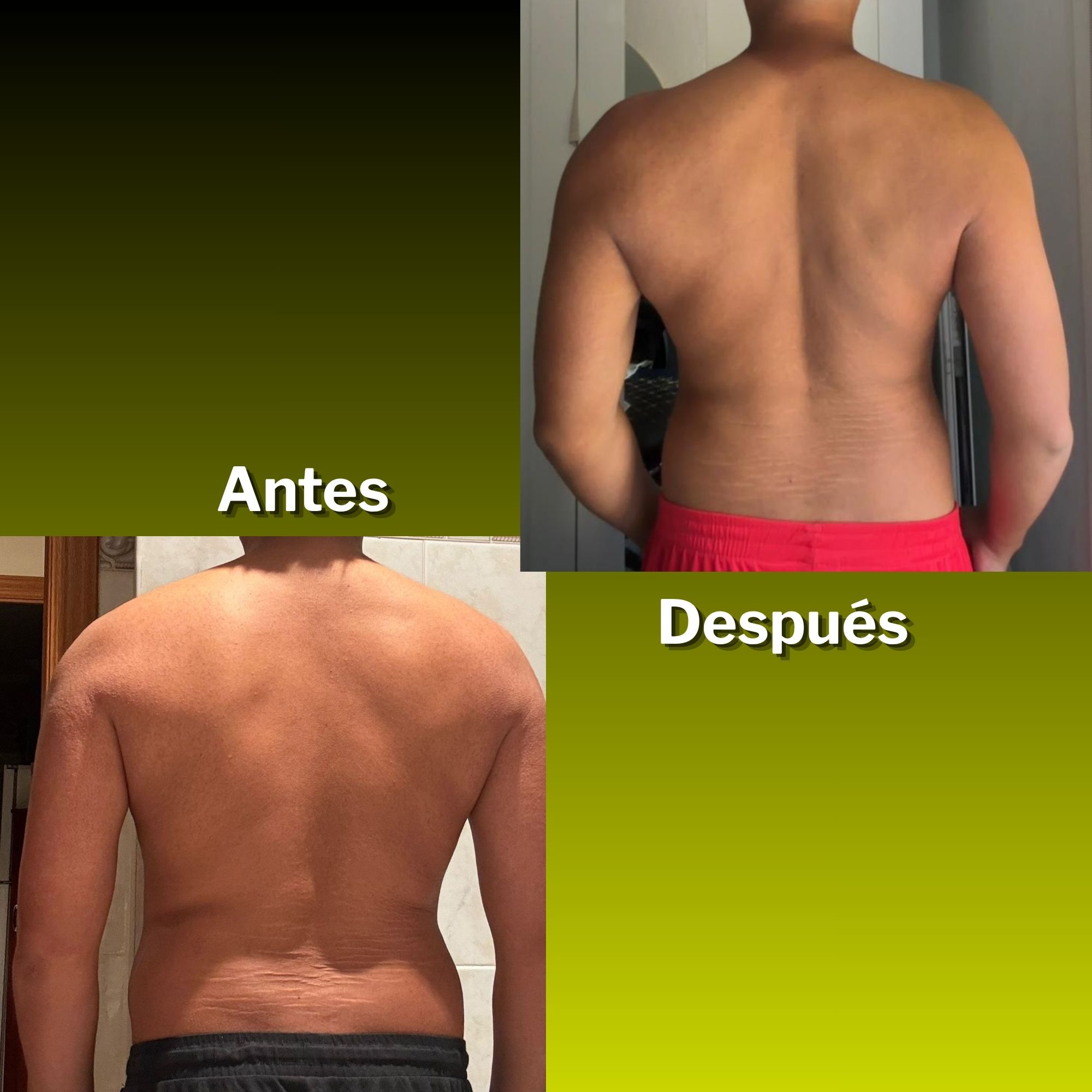 Cliente Ingefit